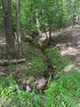 0 East Two Pond Lane - Photo 4