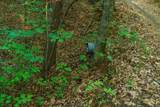 0 Gloryland Way - Photo 8