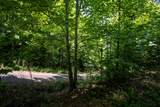 850 Bluff Road - Photo 27