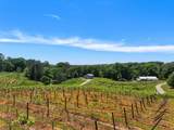 2317 Hwy 382 - Photo 38