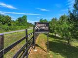 2317 Hwy 382 - Photo 48