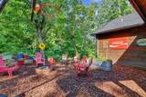 240 Pink Pig Lane - Photo 58
