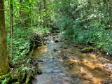 261 Frosty Mountain Trail - Photo 11