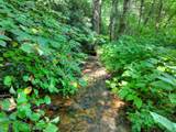 261 Frosty Mountain Trail - Photo 12