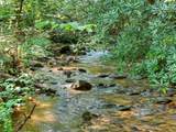 261 Frosty Mountain Trail - Photo 13