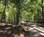 363 Weeks Creek Road - Photo 3