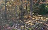2B Ashley Trail - Photo 11