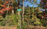 2B Ashley Trail - Photo 9
