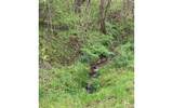 LT 10 High Meadows - Photo 10