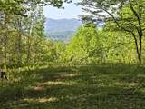LT 10 High Meadows - Photo 3