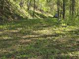 LT 10 High Meadows - Photo 8