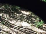 2520 Road 4748 - Photo 13