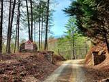L46 Warbler Road - Photo 11