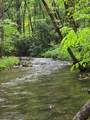2839 Helton Creek Road - Photo 40