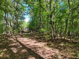 441 Foxfire Road - Photo 69