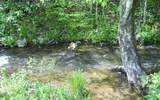 25 Tusquittee Crossing - Photo 1