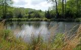 25 Tusquittee Crossing - Photo 2