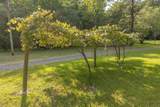 141 Friendship Lane - Photo 16