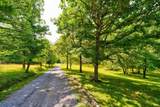 119 Cops Road - Photo 61
