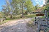 1306 Hot House Road - Photo 3