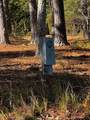 1966 Hwy 142 E - Photo 39