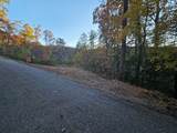84 Spiva Cove Mountain Trail - Photo 10