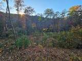 84 Spiva Cove Mountain Trail - Photo 11