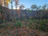 84 Spiva Cove Mountain Trail - Photo 8