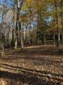 526 Mcdonald Road - Photo 62