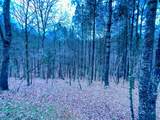 60 Mossy Oak Court - Photo 36