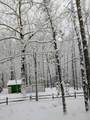 119 Laurel Branch Drive - Photo 48