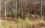 LOT 132 Fox Cove Road - Photo 13