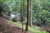 1990 Big Creek - Photo 60