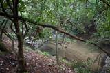 1990 Big Creek - Photo 64