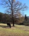 2086 Burnt Mountain Road - Photo 27