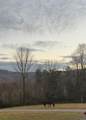 2086 Burnt Mountain Road - Photo 28