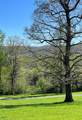 2086 Burnt Mountain Road - Photo 46
