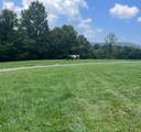 2086 Burnt Mountain Road - Photo 47
