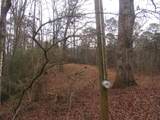 78 Holly Place Road - Photo 10