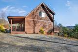 223 Red Bud Lane - Photo 5