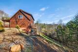223 Red Bud Lane - Photo 6