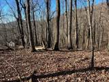 245 Sassafras Mountain Trail - Photo 1