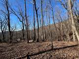245 Sassafras Mountain Trail - Photo 3