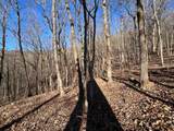 245 Sassafras Mountain Trail - Photo 4