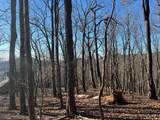 0 Sassafras Court - Photo 3