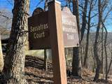 0 Sassafras Court - Photo 8