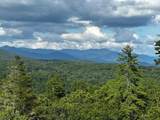 455 Point Overlook Trail - Photo 52