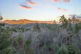 455 Point Overlook Trail - Photo 53