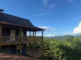 821 Point Overlook Trail - Photo 4