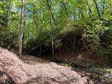 295 Mountain Laurel Ridge - Photo 6